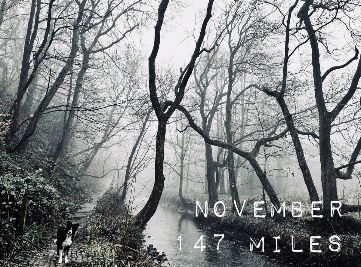 victoria ramsden tweet media