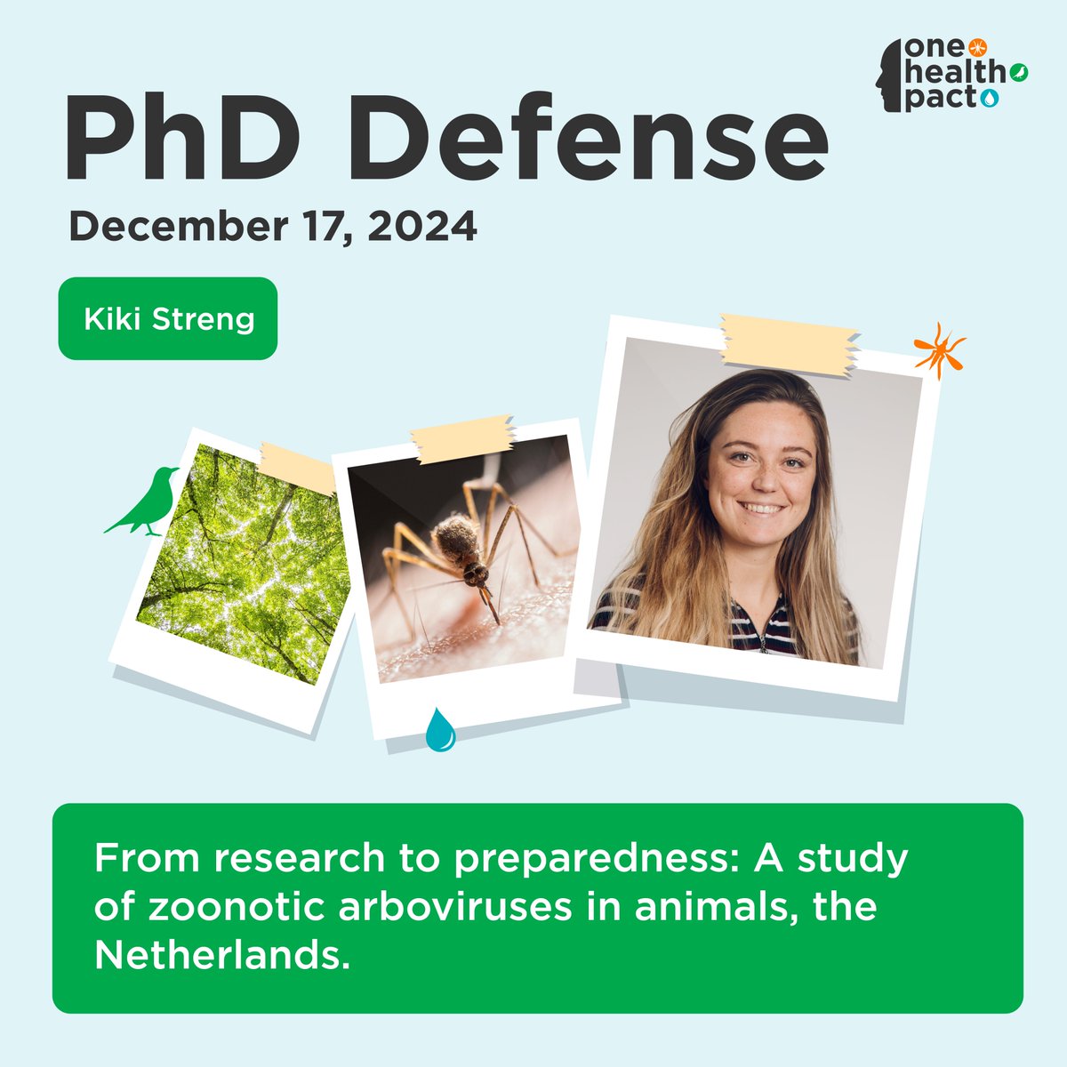 One Health PACT (@onehealthpact) on Twitter photo Promotion time!🦟💧🐦⬛
On 17 December 2024 Kiki Streng, one of our PhD’s, will defend her PhD thesis titled: ‘From research to preparedness: A study of zoonotic arboviruses in animals, the Netherlands’ at the <a href="/WUR/">Wageningen U&R</a>
Attend online at 15.30 via: wur.yuja.com
#onehealth Promotion time!🦟💧🐦⬛
On 17 December 2024 Kiki Streng, one of our PhD’s, will defend her PhD thesis titled: ‘From research to preparedness: A study of zoonotic arboviruses in animals, the Netherlands’ at the <a href="/WUR/">Wageningen U&R</a>
Attend online at 15.30 via: wur.yuja.com
#onehealth