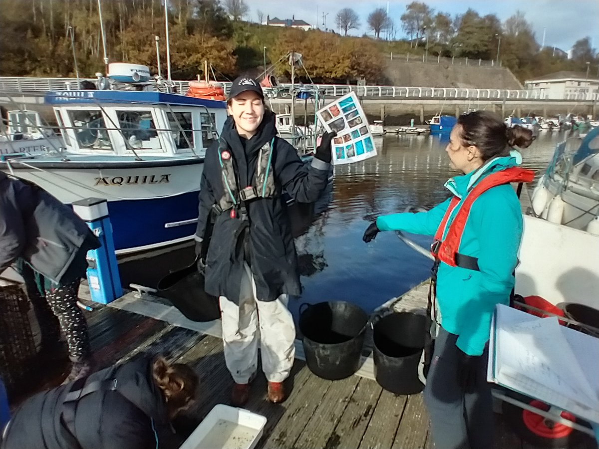 Wild_Oysters's tweet photo. Last month we hosted the MMO’s Marine Licensing and Strategic Renewables teams at Sunderland Marina! They visited us on their away day to help monitor the associated biodiversity and health of our oyster nurseries #AwayDay #Volunteer #NativeOyster https://t.co/YMS0ecEZWi