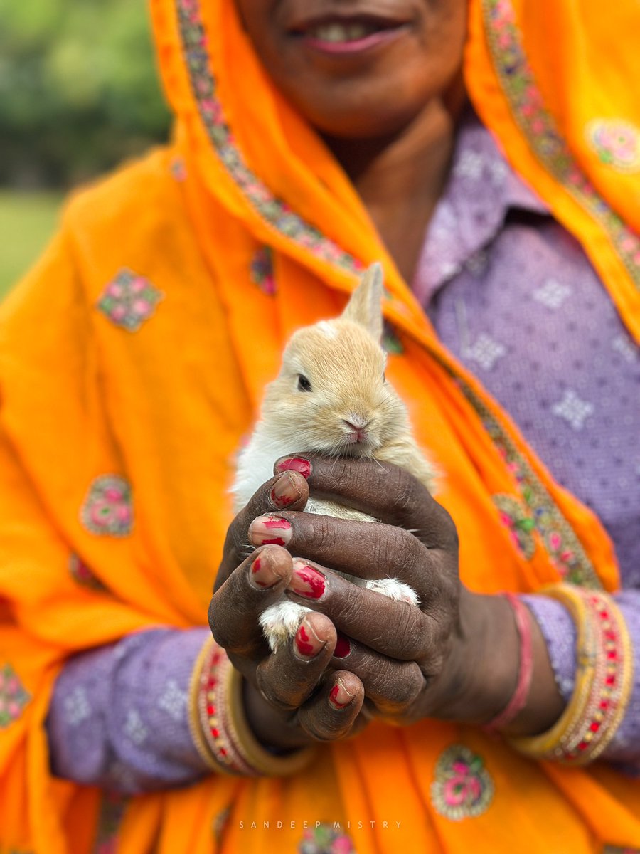 sandeepmistry1's tweet photo. Warm hands, a tender heart, and a world of stories painted in vibrant, weathered colors. 🌸🐇  #shotoniphone @Apple @NatGeoIndia https://t.co/kRqKRrXCBp