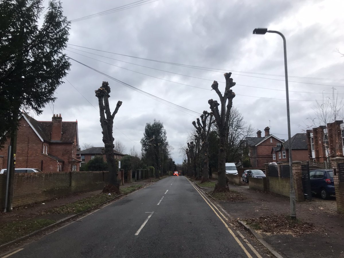 David Cook tweet media