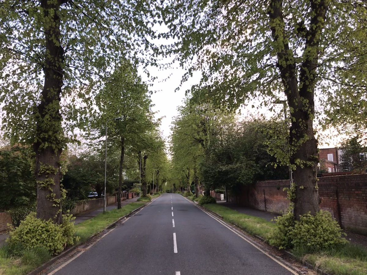 David Cook tweet media