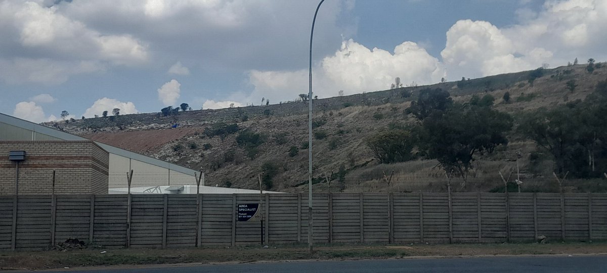 Angela Ludek tweet media