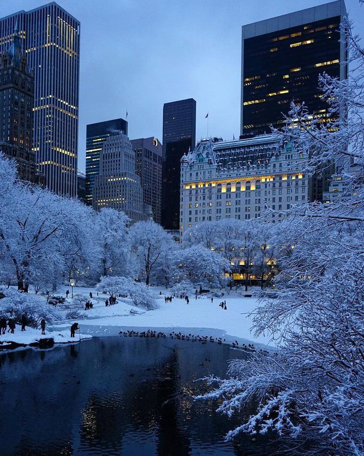 MozartCultures's tweet photo. New York ve kar https://t.co/D7Qjz9Bfbr