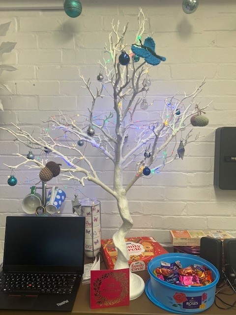 SAPHP_CCCU's tweet photo. The office were delighted to find a beautiful little acorn and have done as instructed! I never knew there were sustainable search engines.  The acorns now adorn our tree #acornstooaks @CCCUSCN #CCCUsustainability #CCCUcreatives https://t.co/eELYJQaHnd