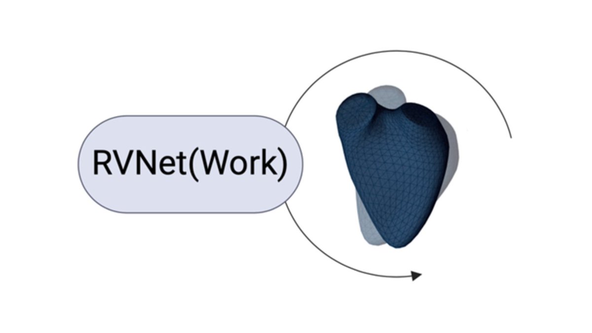 Have you completed the RVNet(Work) survey on clinical practice in right heart echocardiography and imaging yet? Find out more here: ow.ly/ZvOy50UjH5N