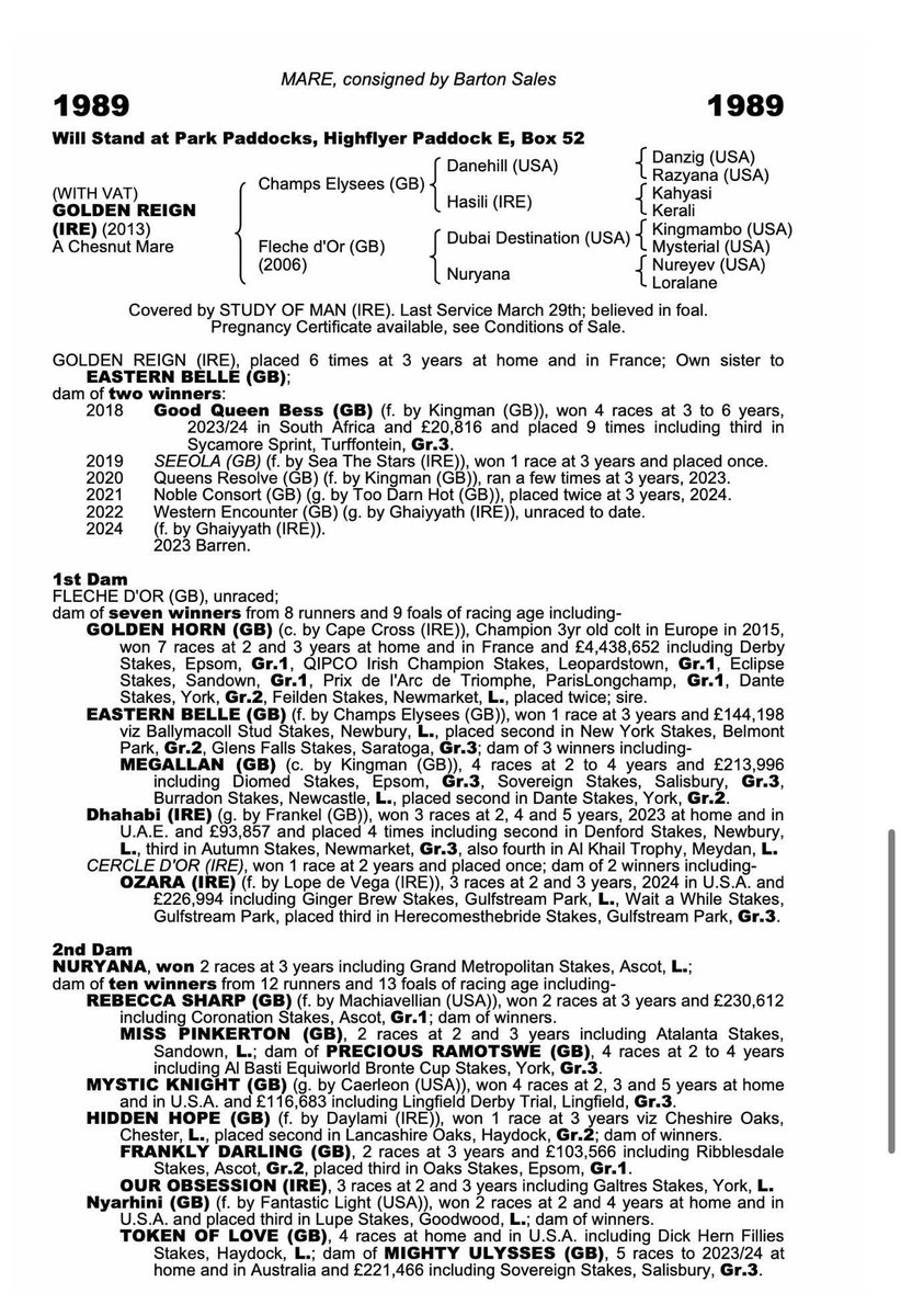 Delighted to buy a stakes producing half-sister to Golden Horn in foal to Study of Man for £30k