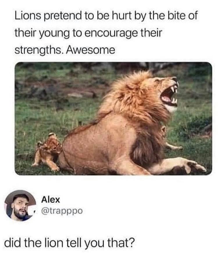 SpillTheMemes's tweet photo. 😂 https://t.co/zhr03gcIXq