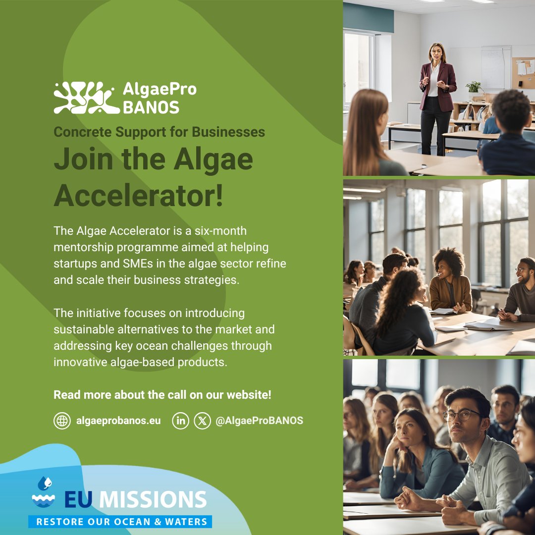AlgaeproBANOS (@algaeprobanos) on Twitter photo Only a few weeks left to apply! 🚨
The #AlgaeAccelerator offers expert #mentorship worth €10K to help startups & SME's scale their algae-based businesses. Don't miss this opportunity!
👉 Learn more & apply here: shorturl.at/2jWFd
#HorizonEurope <a href="/OurMissionOcean/">Mission Ocean Waters</a> Only a few weeks left to apply! 🚨
The #AlgaeAccelerator offers expert #mentorship worth €10K to help startups & SME's scale their algae-based businesses. Don't miss this opportunity!
👉 Learn more & apply here: shorturl.at/2jWFd
#HorizonEurope <a href="/OurMissionOcean/">Mission Ocean Waters</a>