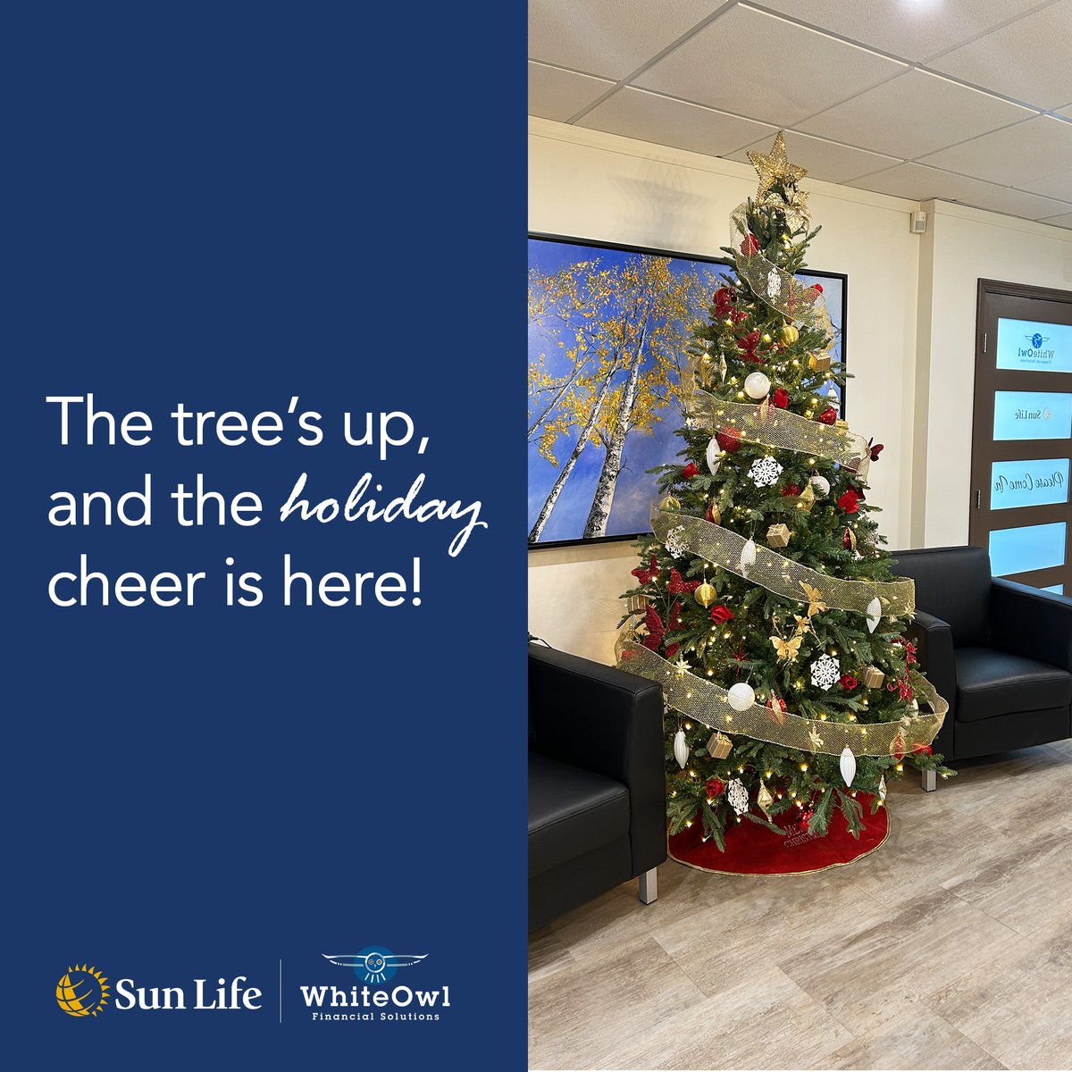 DarrenUlmerSL's tweet photo. Decking the halls with holiday cheer! The White Owl Office is ready to celebrate the season of joy. ✨

#HolidayVibes #FestiveSpirit https://t.co/3KwhXbRttT