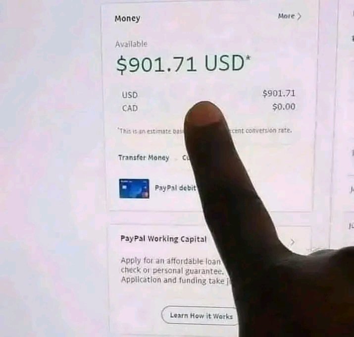 Dear INVESTORS,
We are about to send our
most recent payouts
(BITCOIN)

If you are a member of this platform and you have not yet invested, please do so as soon as possible and be part of this
life transforming exercise !

                    Thank you