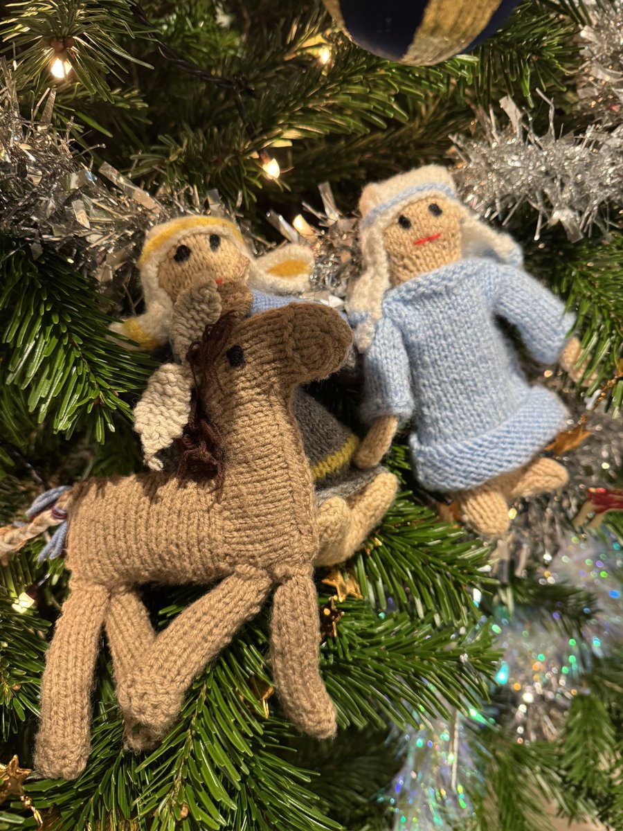 School sent Mary, Joseph and their donkey home for us to host, let’s hope the baby doesn’t arrive while they’re here 🤣

#ChristmasCountdown #meaningofchristmas #maryandjoseph #christmastradition