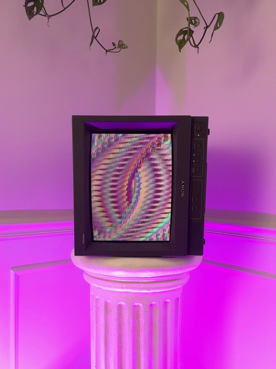 Sarah Zucker tweet media