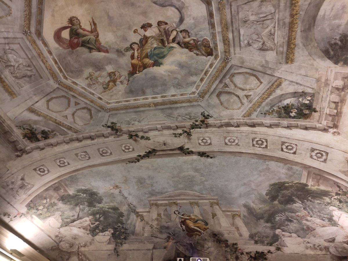 Nina Hall tweet media