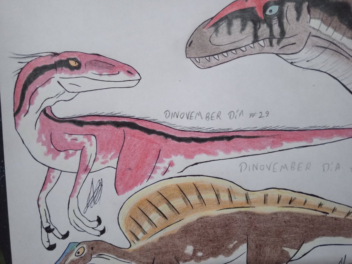 afton777's tweet image. #dinovember día 29 atrasado: Deinonychus antirrhopus

Jamás podrán convencerme de que el Deino de JWE es malo (en mi head canon velociraptor y Deinonychus estan intercambiados). En fin, espero les guste mucho