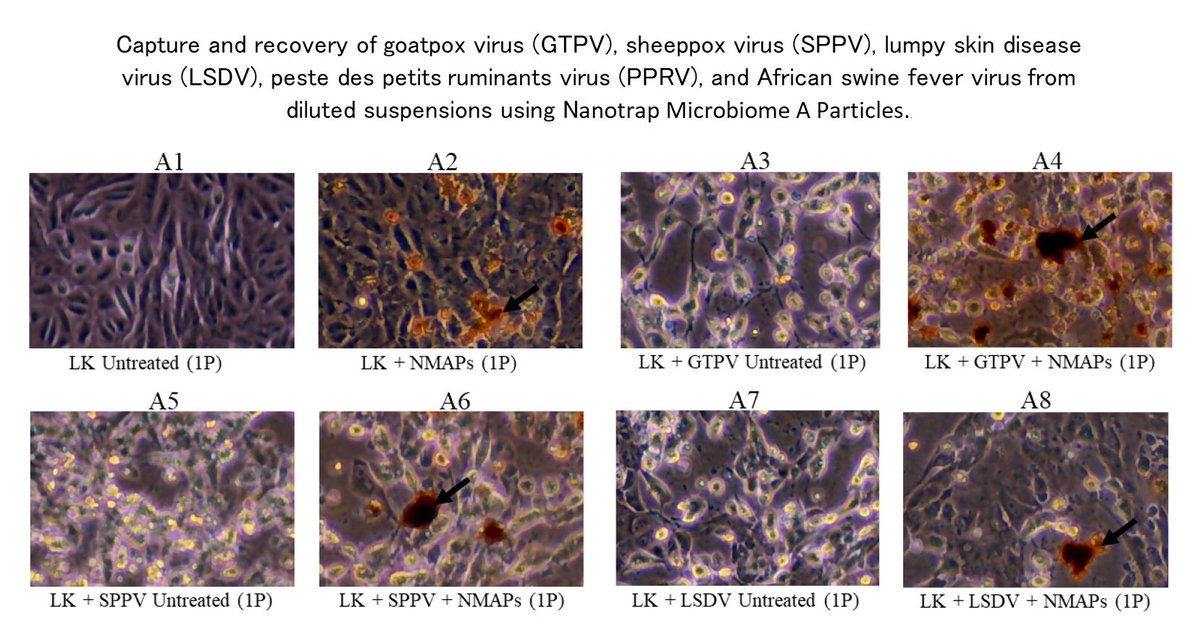 Ceres Nanosciences tweet media