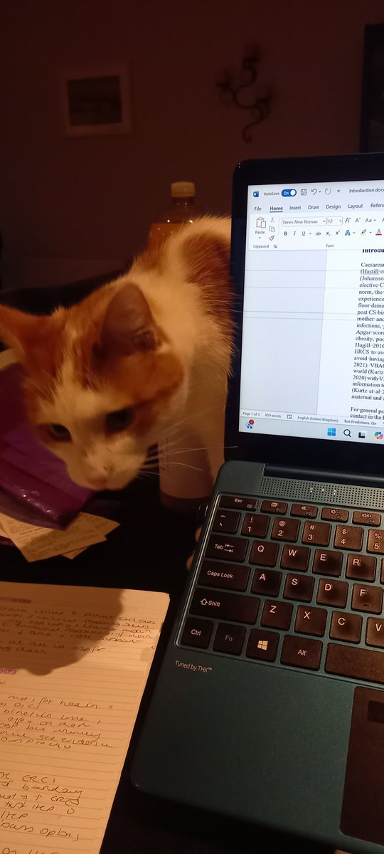 roisingetz's tweet image. Research supervisor helping me with my latest study. #vbac #advancedpractice Been a productive day of thematic analysis and writing intro except for the stray paw frightening the life out of me!
