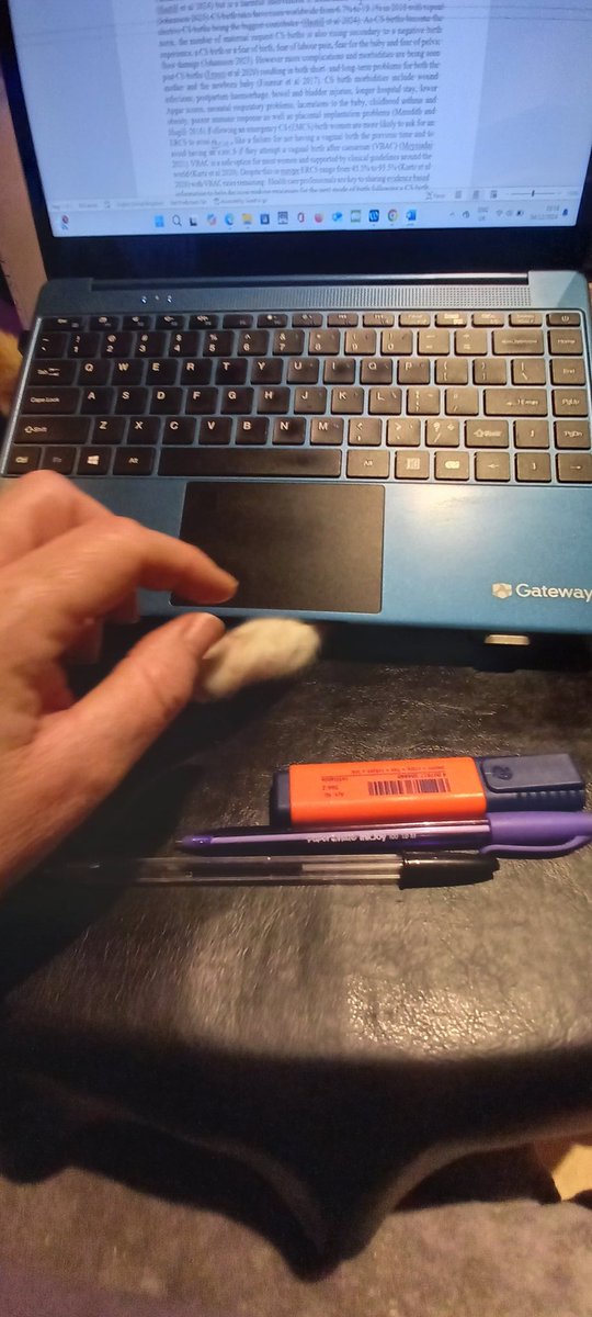 roisingetz's tweet image. Research supervisor helping me with my latest study. #vbac #advancedpractice Been a productive day of thematic analysis and writing intro except for the stray paw frightening the life out of me!