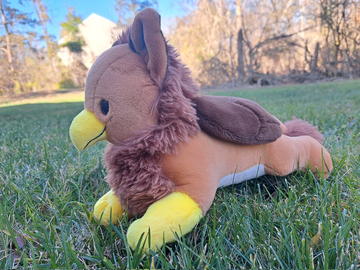 Good Egg 🐣on🦋 tweet media