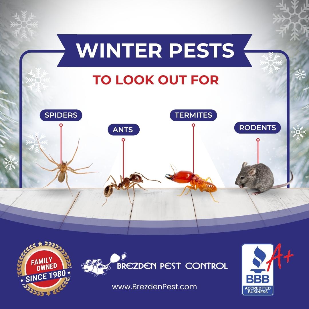 BrezdenPest's tweet photo. ❄️ Don't let these pests make themselves at home this winter...

#WinterPestControl #WinterSeason #WinterPests #BrezdenPestControl #PestControl #PreventativePestControl #PestFreeLiving #SanLuisObispo #SLO #PasoRobles #SLOCounty https://t.co/NxLukqfwFP