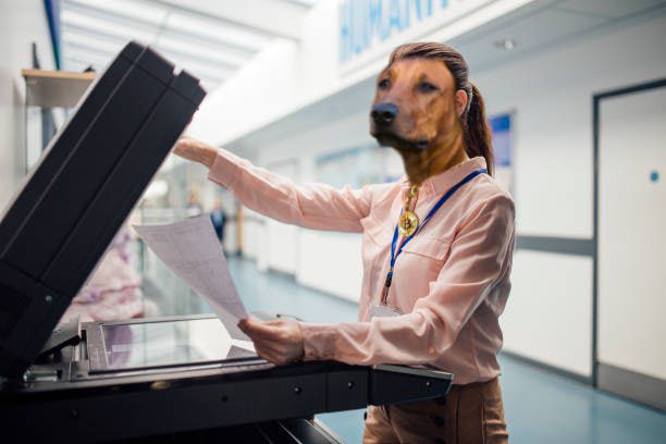 Not your typical copy paste meme.

There’s something special about $ELSA…