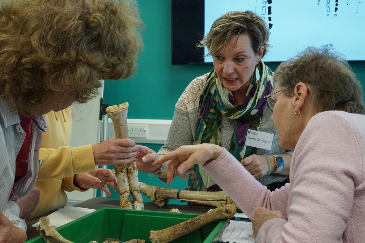 We're sad to inform you that University of Sheffield management has asked us to discontinue our popular #zooarchaeology shortcourses. Sadly, one of our most enlightening piece of community engagement, which  brought funds to manage our labs, has gone <a href="/sheffielducu/">sheffielducu.bsky.social</a>  <a href="/ICAZ_News/">ICAZ News</a>