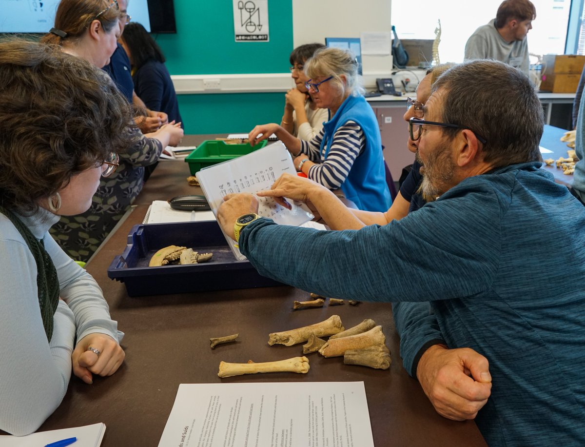 ZooarchLabSheff's tweet image. We're sad to inform you that University of Sheffield management has asked us to discontinue our popular #zooarchaeology shortcourses. Sadly, one of our most enlightening piece of community engagement, which  brought funds to manage our labs, has gone @sheffielducu  @ICAZ_News