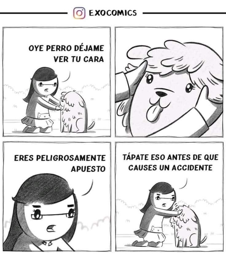 DiloConPerritos's tweet photo. Tápate eso. https://t.co/fbeBVK6jHy
