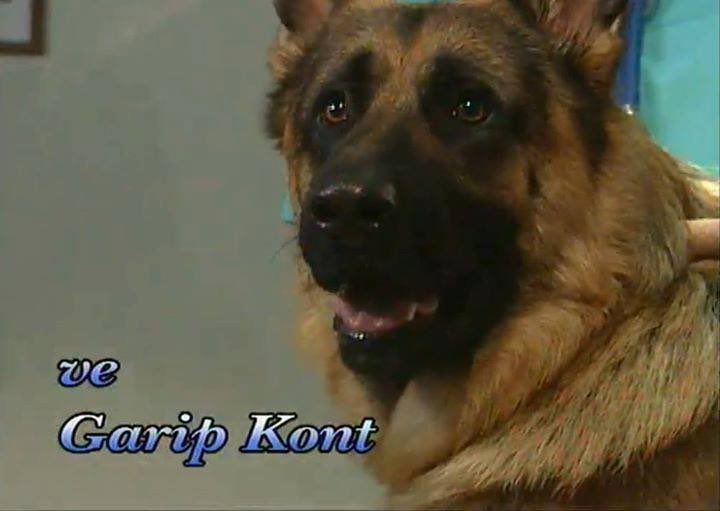 sungur aslan (@aslansngr) on Twitter photo 