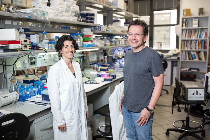 CSIC (@csic) on Twitter photo Avance clave en autismo: un equipo de <a href="/IRBBarcelona/">IRB Barcelona</a> revela cómo una alteración de la proteína CPEB4 reduce la expresión de genes cruciales para el desarrollo neuronal
➡️ irbbarcelona.org/es/news/cienti…
Se basa en un hallazgo disruptivo de 2018 del <a href="/CBM_CSIC_UAM/">Centro de Biología Molecular Severo Ochoa</a>
➡️csic.es/es/actualidad-… Avance clave en autismo: un equipo de <a href="/IRBBarcelona/">IRB Barcelona</a> revela cómo una alteración de la proteína CPEB4 reduce la expresión de genes cruciales para el desarrollo neuronal
➡️ irbbarcelona.org/es/news/cienti…
Se basa en un hallazgo disruptivo de 2018 del <a href="/CBM_CSIC_UAM/">Centro de Biología Molecular Severo Ochoa</a>
➡️csic.es/es/actualidad-…