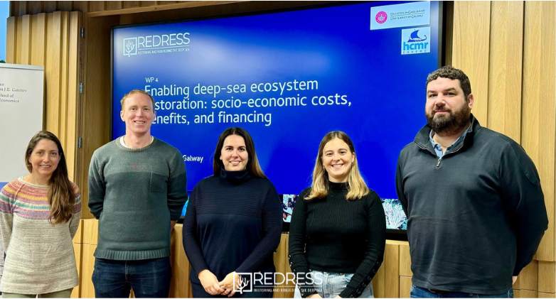 Redress Project tweet media