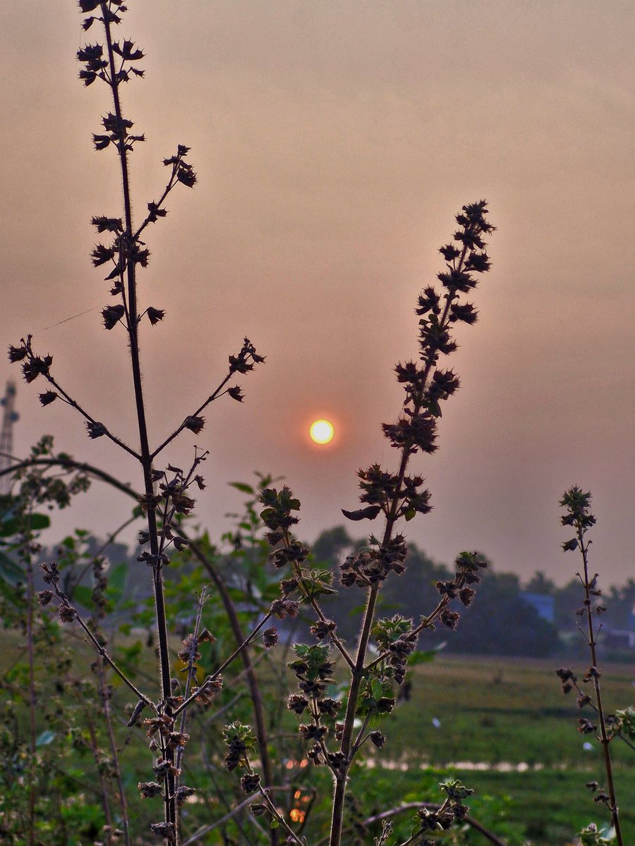 KumarSunilSwain's tweet photo. Every sunset is  an opportunity to Reset "
#sunset #NatureBeauty #lookingbeautiful https://t.co/kNw9hkCgVG