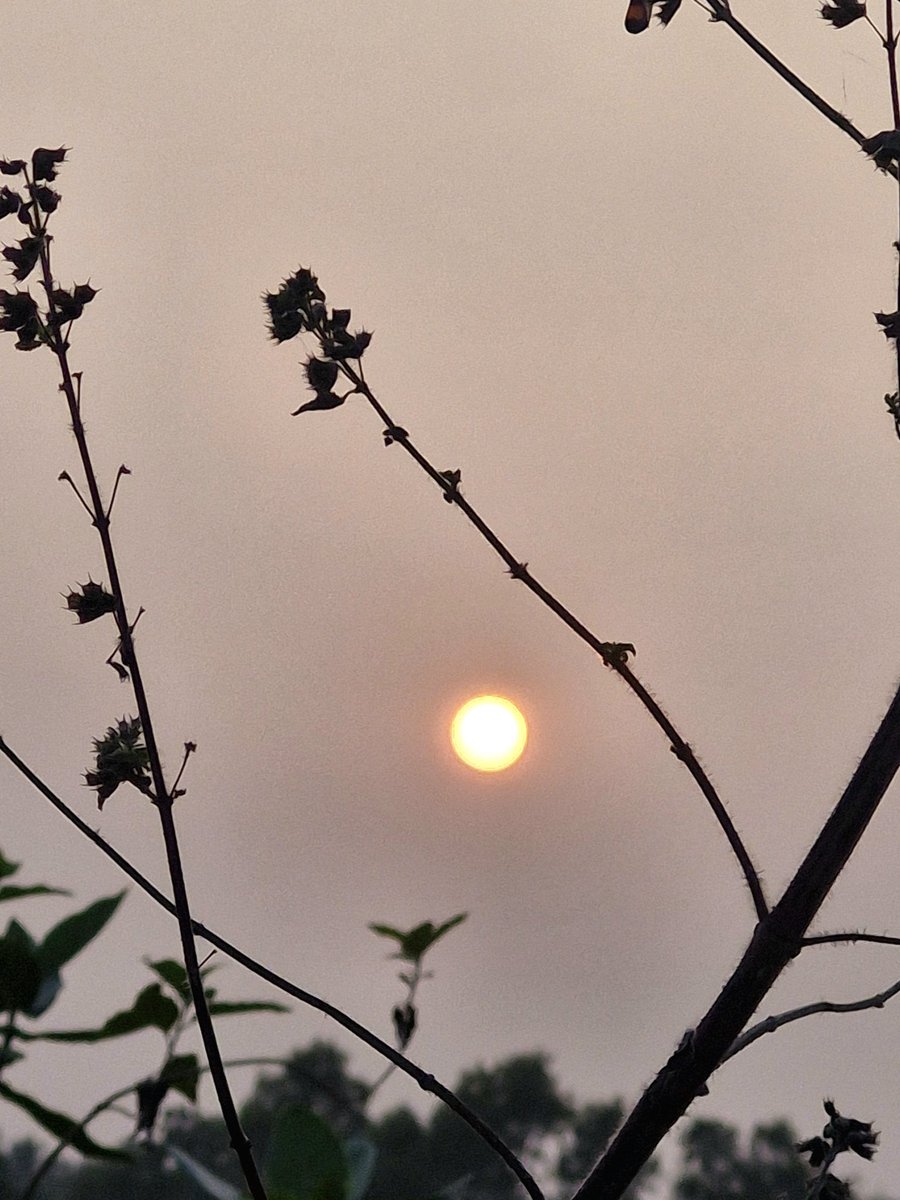 KumarSunilSwain's tweet photo. Every sunset is  an opportunity to Reset "
#sunset #NatureBeauty #lookingbeautiful https://t.co/kNw9hkCgVG