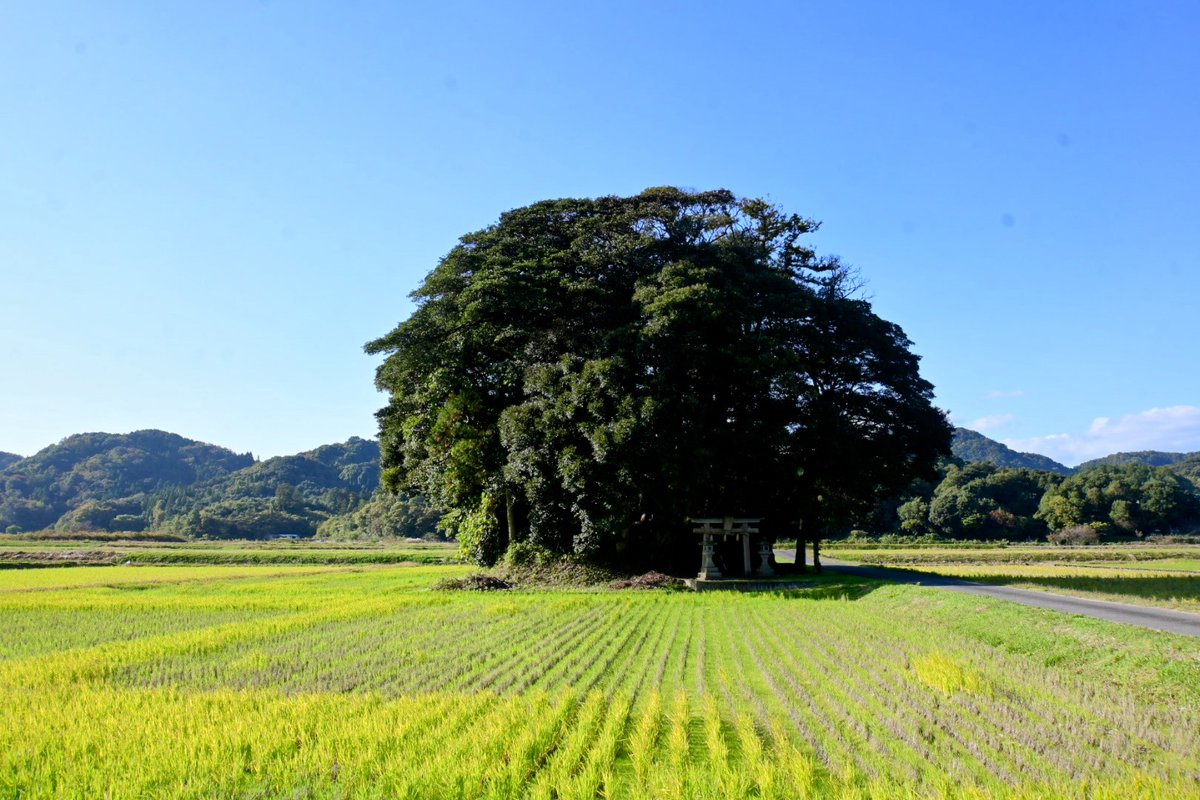 caramelnonchan's tweet photo. 紅葉巡りの記憶
少し足をのばしたら
すてきな景色に会えたよ
#Nonの秋旅 https://t.co/V1a5YeZzCS
