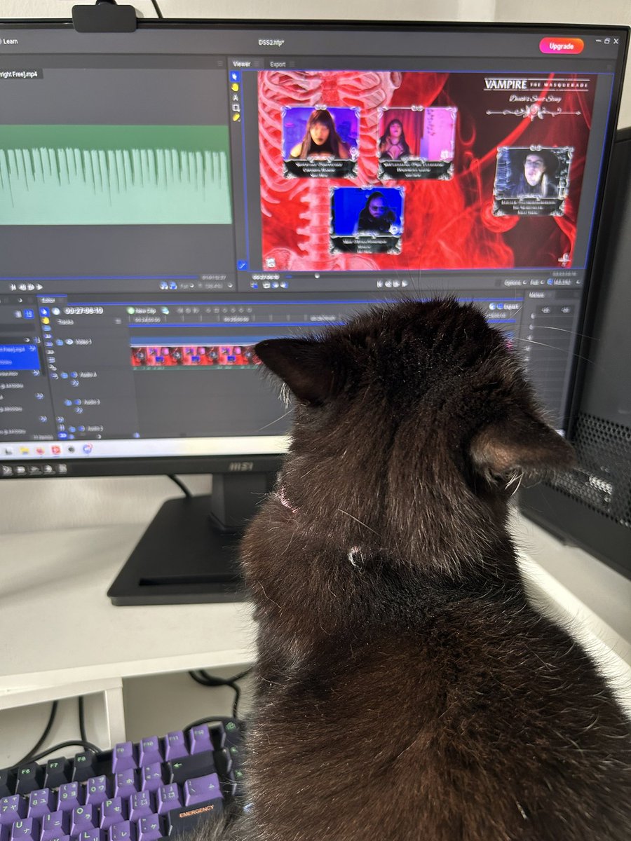 With all of our new projects we had to hire an extra Editor. Salem is hard at work around the clock getting the final edits for our end of the year three shot Deaths Sweet Sting. She also says she’s available for hire #vamily for the low, low price of tuna.