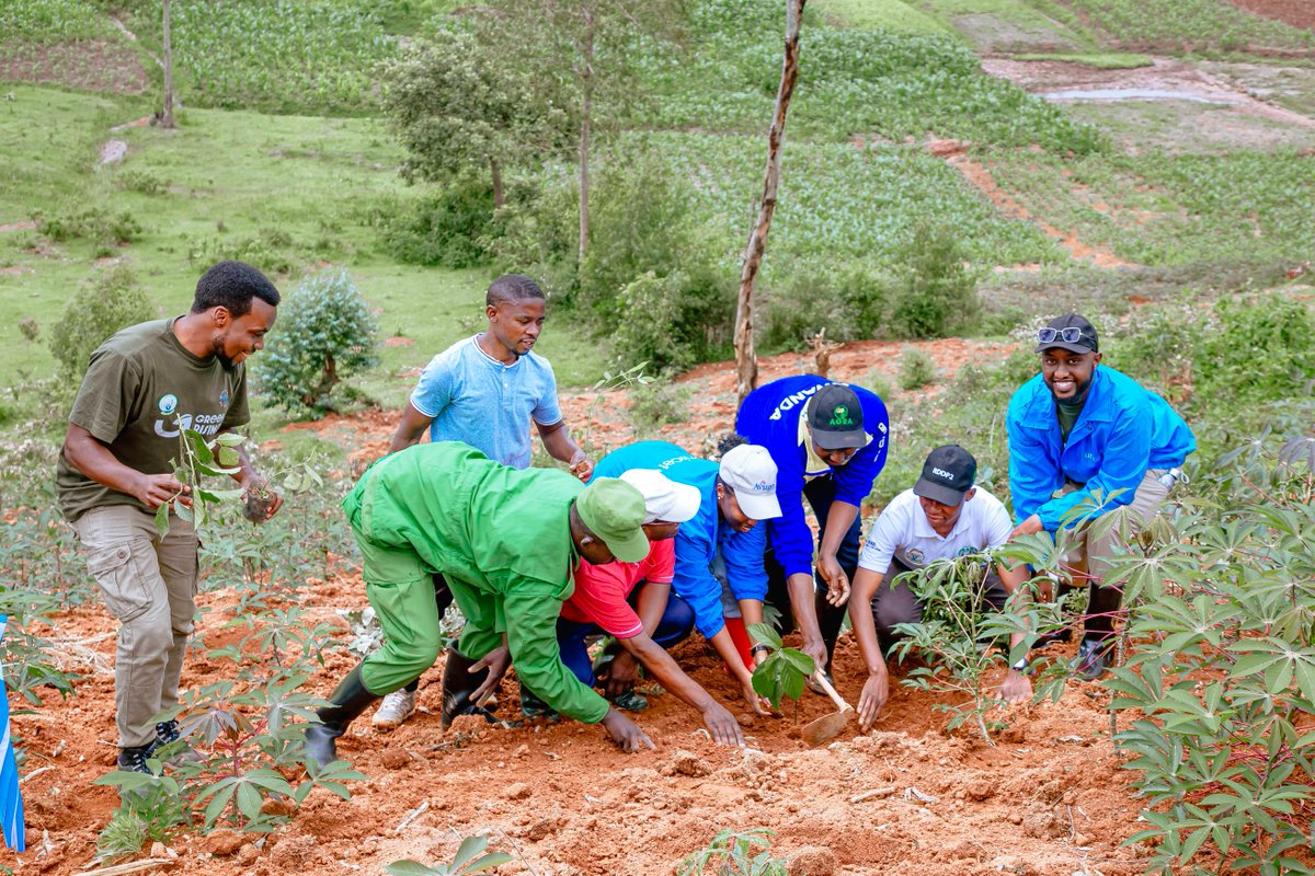 WGYB_NGO's tweet photo. Through the #GreenRisingProgram, we are empowering young people to combat climate change with community-driven solutions that emphasize both #mitigation and #adaptation. The passion, creativity, and dedication shown by young people provide the hope of creating sustainable responses to climate change, fostering resilient communities, and paving the way for a sustainable future for everyone. Through #climate education and encouraging #proactive measures, we are preparing the next generation to become #environmental leaders.
Join us in working towards a greener tomorrow!🌱🤗🤗🤗
#GreenRising
#YouthForClimateAction
#SustainabilityHeroes
#GreenerFuture
@RwandaYouthArts @GenUnlimited_ @unicefrw