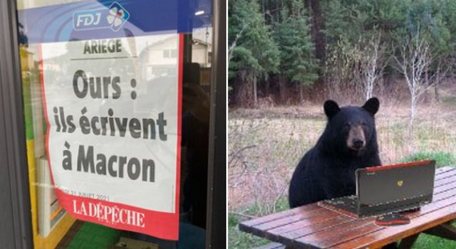 Polémix (@polemix) on Twitter photo 