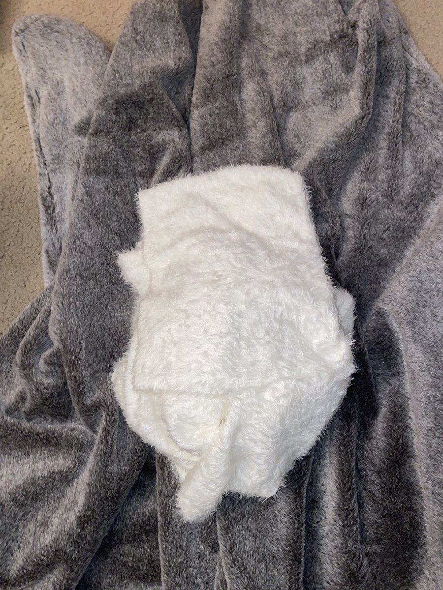clementinednd's tweet photo. My brain is mush! Trying to work on costumes for a musical. I’ve never had to make a human sized egg or rat spats before, but here we are!  Already have some animal inspiration for colors and textures, but anyone out there have a recommendation for the best long lasting makeup? https://t.co/SPBrlafGtA