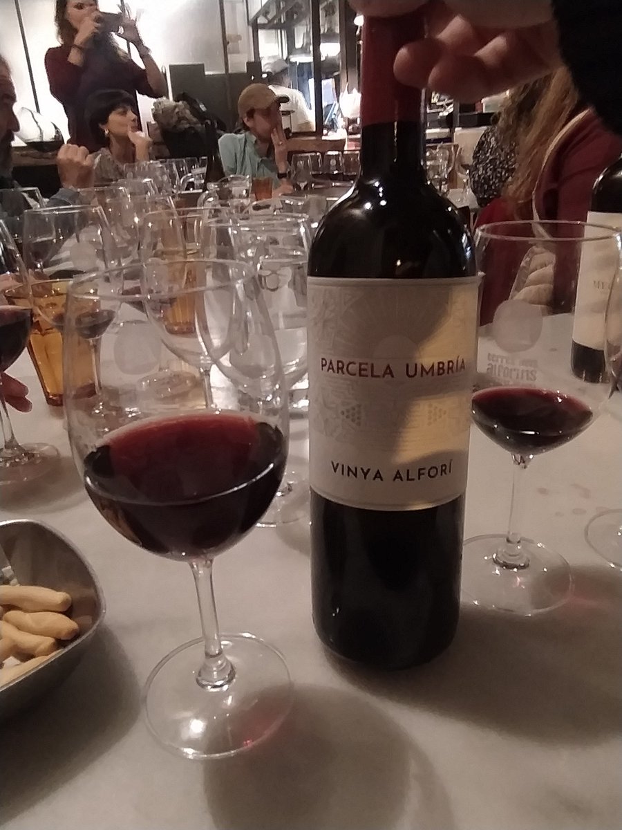 _BruceWine's tweet photo. Magnífica la cata de Terres dels Alforins guiada por la gran @MRomeralo
Ocasión para probar grandes vinos de @VAlfori @ClosdeLom @BodegasEnguera y Rafael Cambra https://t.co/XolHU4QfsP