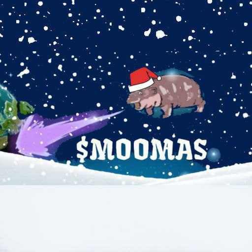 moonCoinBoi's tweet photo. @0xCryptomia7 @MagicEdenOnSOL #moomas is coming https://t.co/iXuOwh1HNY