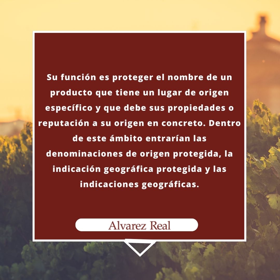 ¿Sabías que proteger la innovación es clave para el éxito de tu empresa?
Registrar tus marcas, patentes y diseños aumenta el valor de tu negocio y te da ventaja competitiva. Y hoy te presentamos una que igual no conocías, "las indicaciones geográficas".