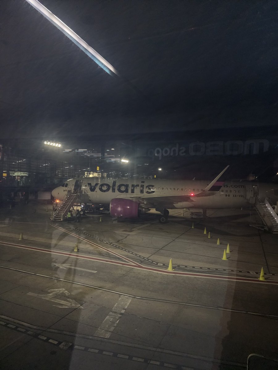 Rugery ☆ tweet media