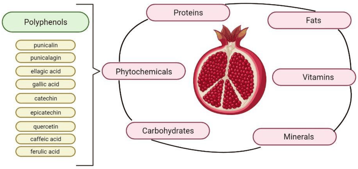 Resources_MDPI's tweet photo. 🥳 Highly cited article; 

"Solid-State #Fermentation for the Recovery of #Phenolic Compounds from #Agro-Wastes" by Nadia D. Cerda-Cejudo et al. 

@Autonomous University of Coahuila

📷 Read more: https://t.co/Ga5GoDlAuH https://t.co/Yfm1ey126W