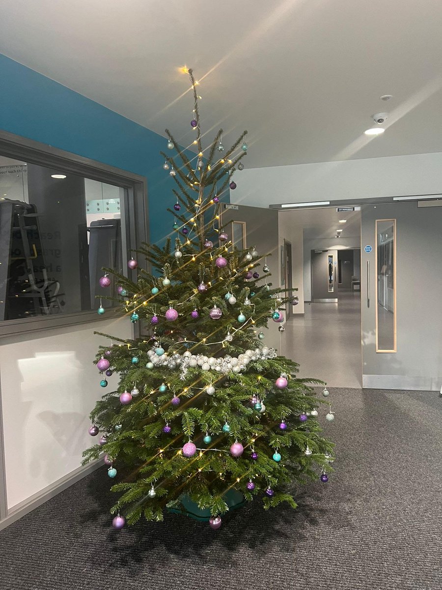 During Inset Day we received and decorated our fabulous Christmas tree from <a href="/pinesandneedles/">Pines and Needles 🌲</a> 📷 that is in reception.

To get 10% off your real Christmas tree (up to 6ft) use code SCHOOL10 at one of their pop-up stores/online. For your nearest store:  bit.ly/3Uqb0Z