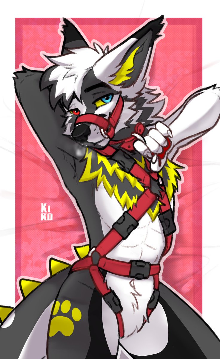 🐺Yin🐺 tweet media