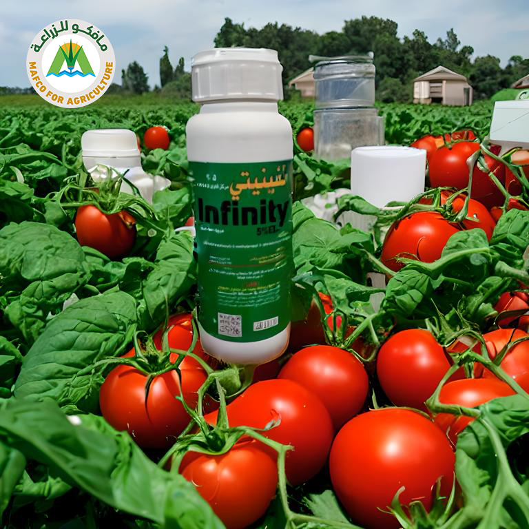 مركب  INFINITY إيتوفينبروكس 5%  قابل للإستحلاب
يستخدم لمكافحه الذبابه البيضاء على الطماطم والفراوله والخضروات المحميه و اشجار الموالح والحمضيات والجوافة والعنب