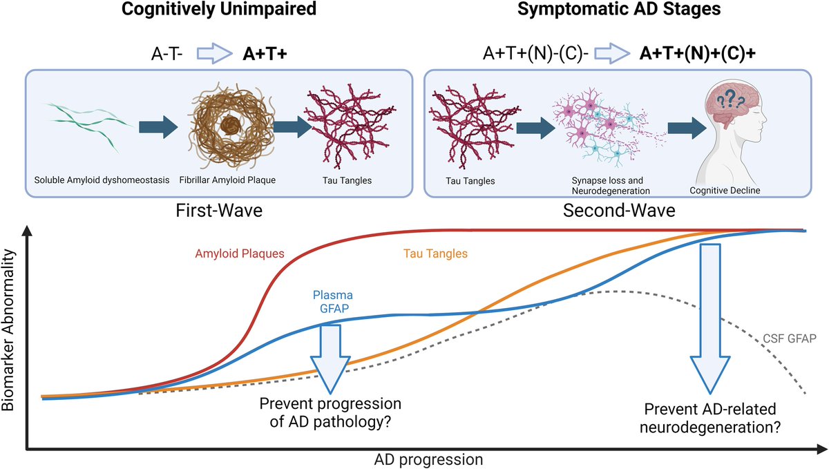 Astroglial reactivity is a key modulator of Alzheimer’s disease pathological progression

New scientific commentary by Wiesje Pelkmans &amp; Juan Domingo Gispert tinyurl.com/36vz5d3w