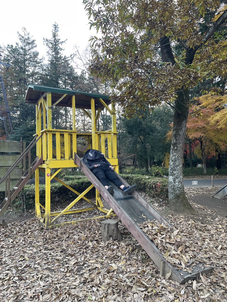 ブルーディア tweet media