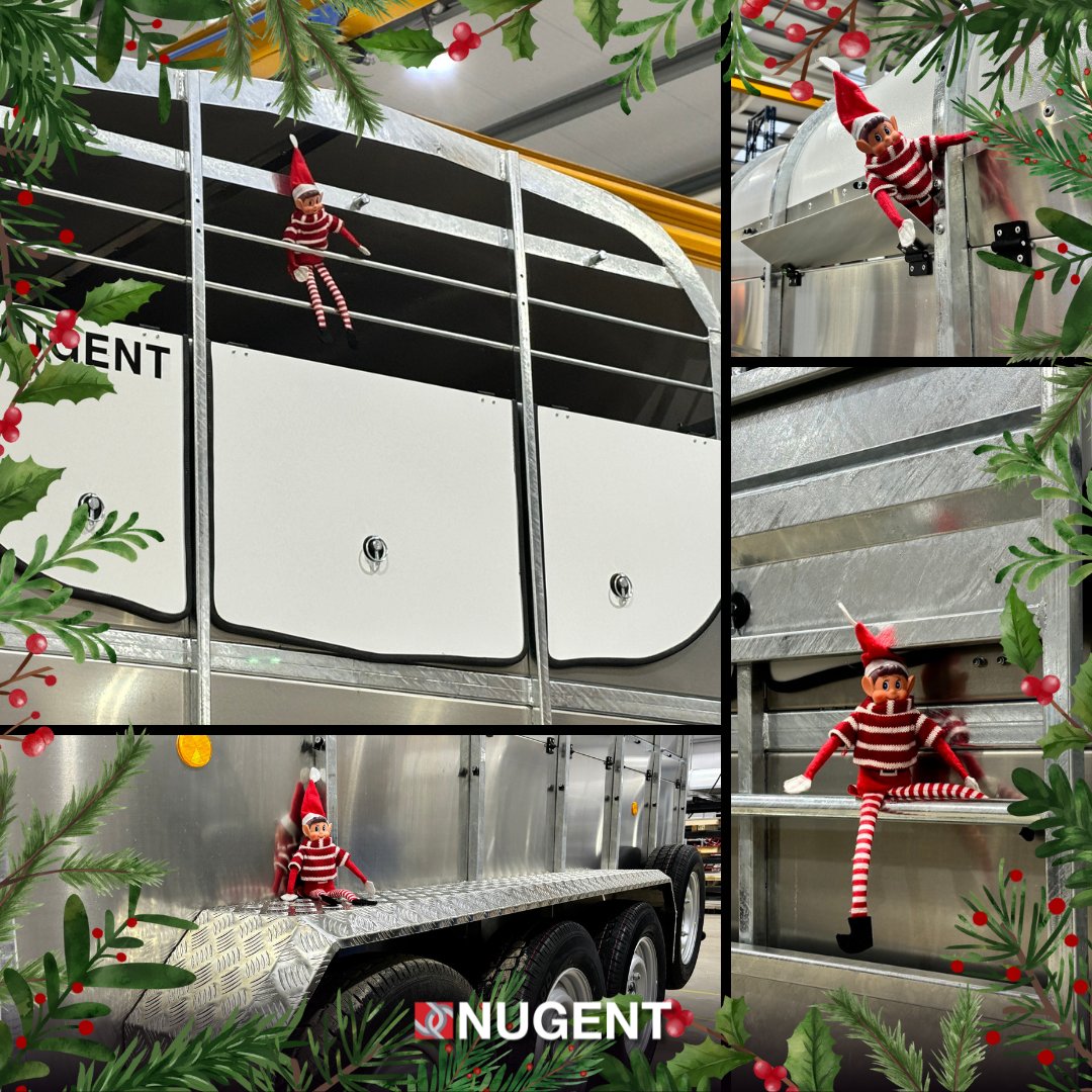 Noddy Nugent is earning his stripes in the livestock production line! 🎄🐄 

Keeping things festive and productive today!

#NugentTrailers #NugentLivestock #LivestockProduction #Noddy