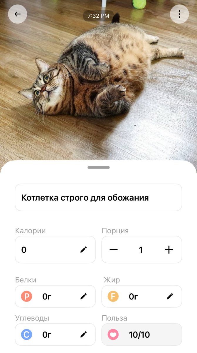 Начал считать калории в CalZen. Фоткаешь и оно всё распознает.

Случайно навёл камеру на кота… 

Приложение выдало: Котлетка строго для обожания 

А еду считает быстро и точно. Узнал, что недобираю по белку. Зато кот доволен — я на ПП, он на всём остальном! 😅

Ниже ссылка 👇